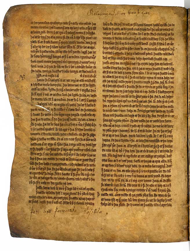 Et kongesagahåndskrift fra ca. 1350-1375 med flere totter (kortere fortællinger end sagaerne), der også er med i nyoversættelsen. Foto: Suzanne Reitz (AM 61 fol., Den Arnamagnæanske Samling, Københavns Universitet)