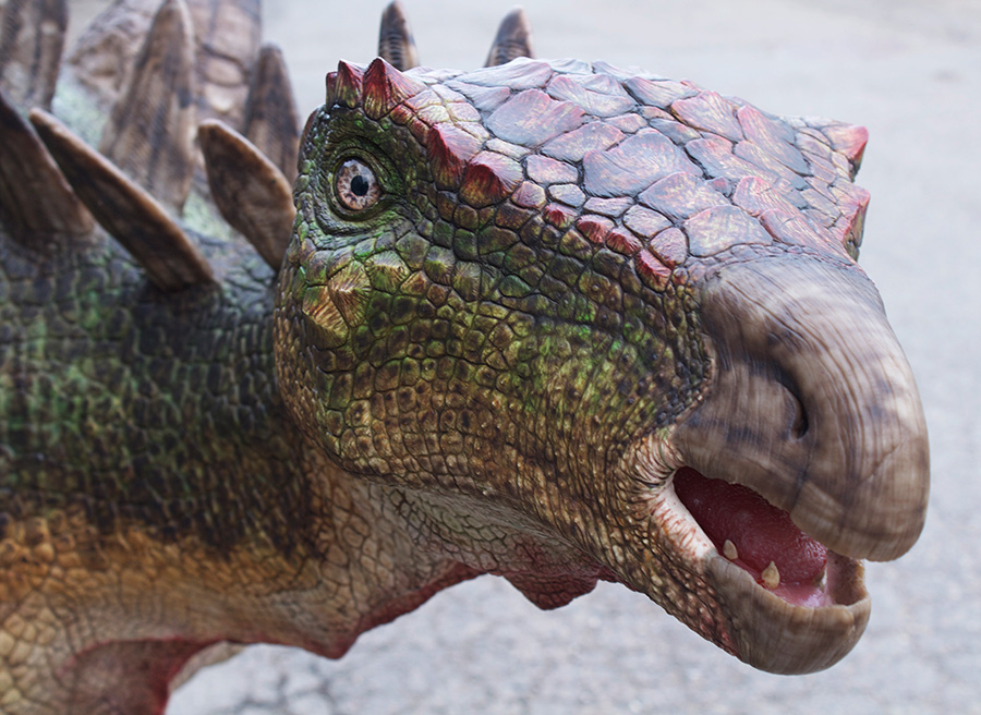 Tre dinosaurmodeller vil være i centrum for en ny udstilling på NaturBornholm. Foto: 10 Tons