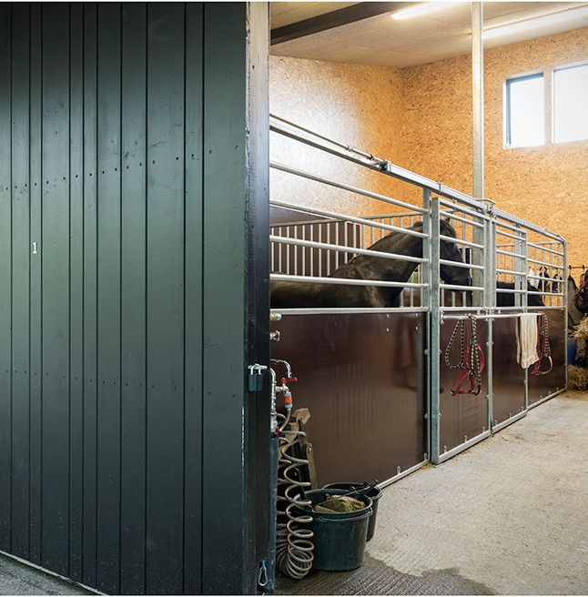 Med store hestebokse og plads til at rulle sig lever faciliteterne op til nye lovkrav for hestehold. Foto: Jens Lindhe