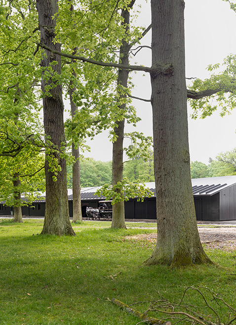 Tre lange, forskudte bygninger med sortmalet træbeklædning står arkitektonisk skarpt mod den grønne skov. Foto: Jens Lindhe