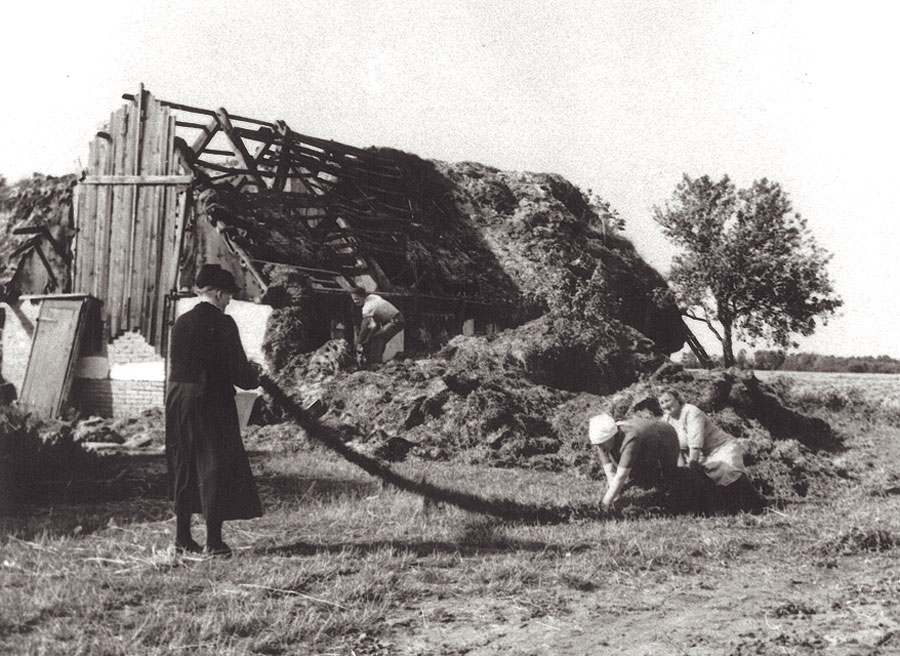 Førhen var tængning et kvindearbejde, og tangen blev vredet ved håndkraft. Foto fra 1951: Straatagets Kontor