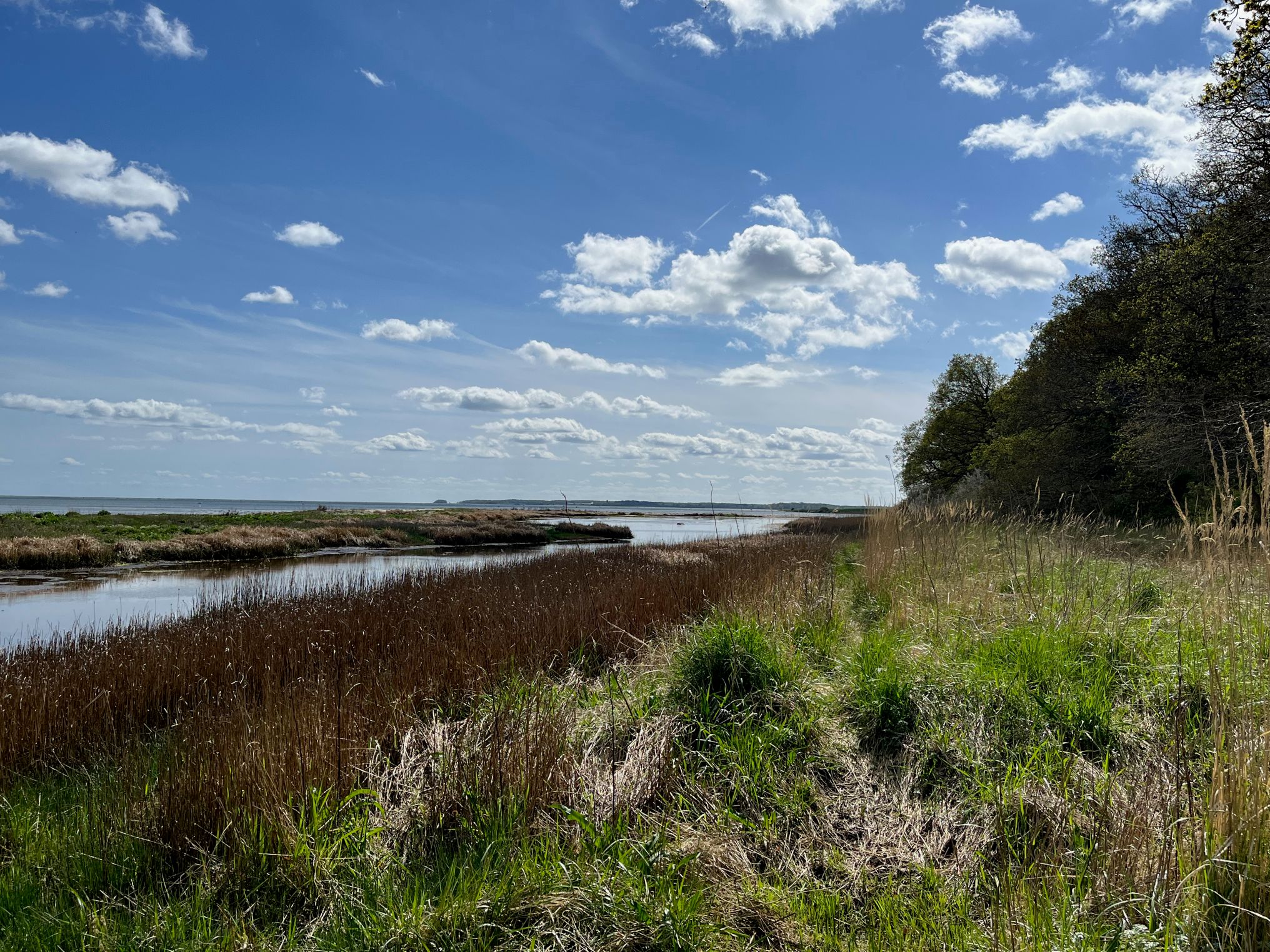 Foto: Horsens Kommune